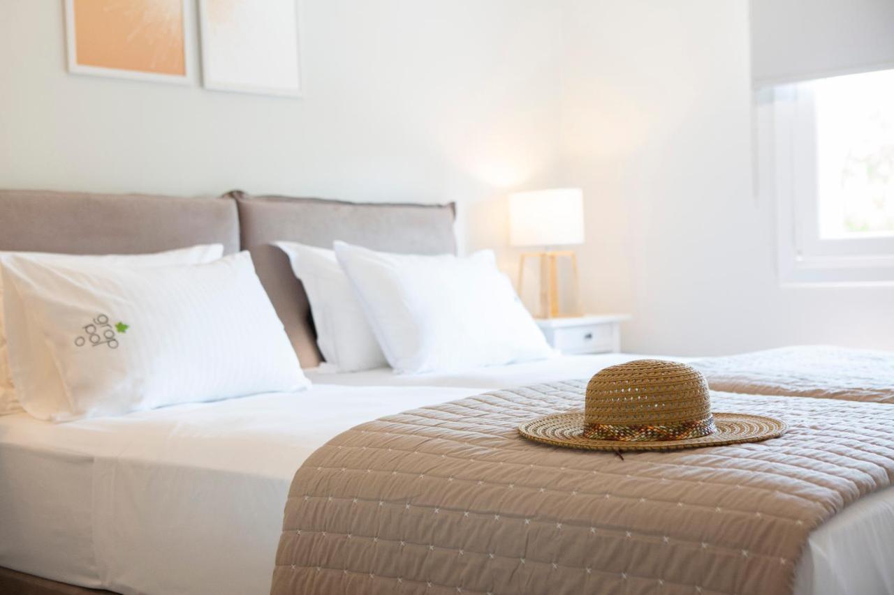 Grappolo Lefkada Villas - Vilana Ideal For Families And Small Groups Apolpaina Extérieur photo